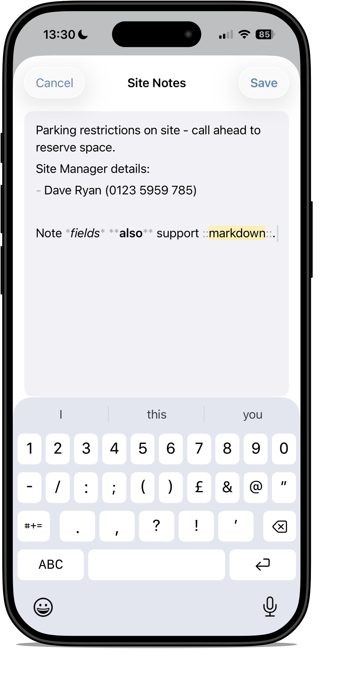 Site Notes editor in Snaglite showing formatted note content and markdown support
